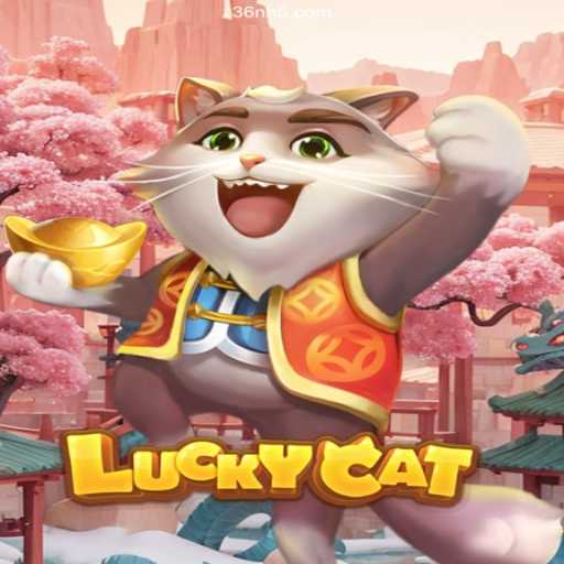 Discover the Excitement of LuckyCat: Brazil's Top Betting Platform